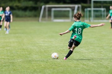 Bild 287 - F VfL Pinneberg - GW Eimsbuettel4 : Ergebnis: 9:0
